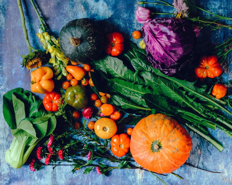 flatlay of squash, tomatoes, and cabbage